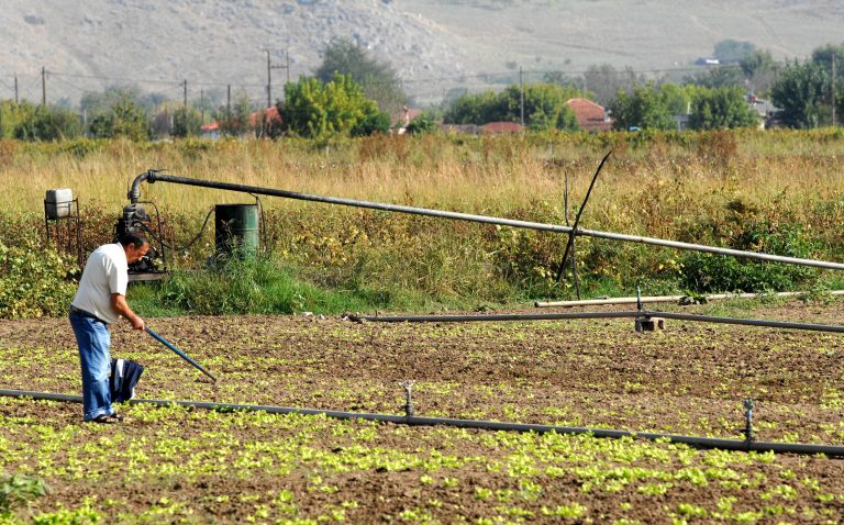 Υπο έλεχγο και οι επιδοτήσεις των αγροτών που πήραν πίσω παράνομα το ΦΠΑ | Newsit.gr Υπο έλεχγο και οι επιδοτήσεις των αγροτών που πήραν πίσω παράνομα το ΦΠΑ | Newsit.gr