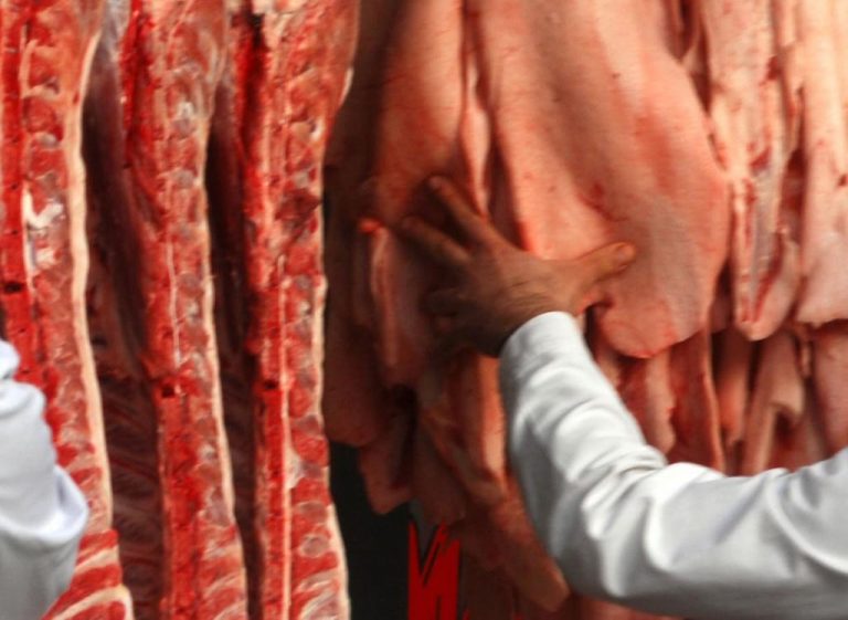 Ελληνικές εταιρείες ύποπτες για κρέατα με DNA αλόγου! | Newsit.gr Ελληνικές εταιρείες ύποπτες για κρέατα με DNA αλόγου! | Newsit.gr