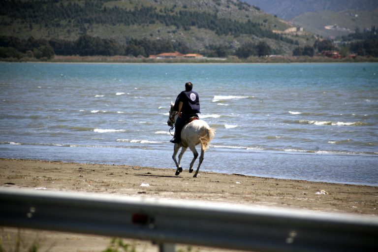 Καταδικάστηκε 59χρονος για κακοποίηση του αλόγου του | Newsit.gr Καταδικάστηκε 59χρονος για κακοποίηση του αλόγου του | Newsit.gr