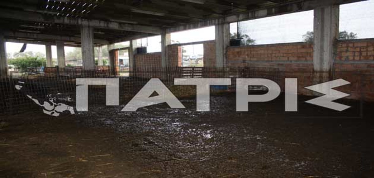 Ανεμοστρόβιλοι σάρωσαν τα πάντα στο πέρασμά τους από την Ηλεία! – ΦΩΤΟ | Newsit.gr Ανεμοστρόβιλοι σάρωσαν τα πάντα στο πέρασμά τους από την Ηλεία! – ΦΩΤΟ | Newsit.gr
