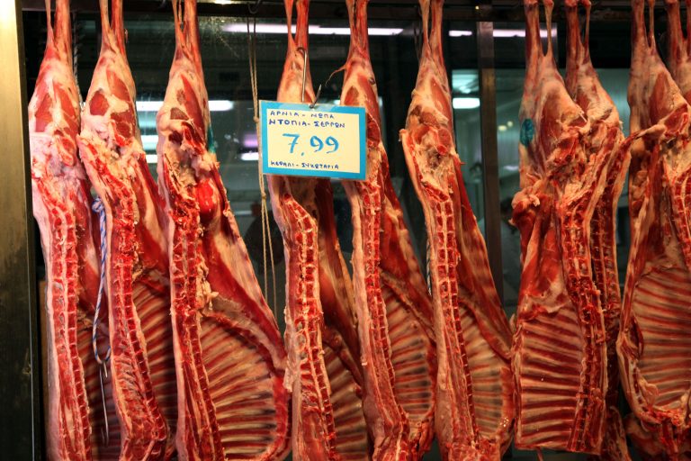 Εκτιμήσεις για τις τιμές των αρνιών για το φετινό Πάσχα | Newsit.gr Εκτιμήσεις για τις τιμές των αρνιών για το φετινό Πάσχα | Newsit.gr
