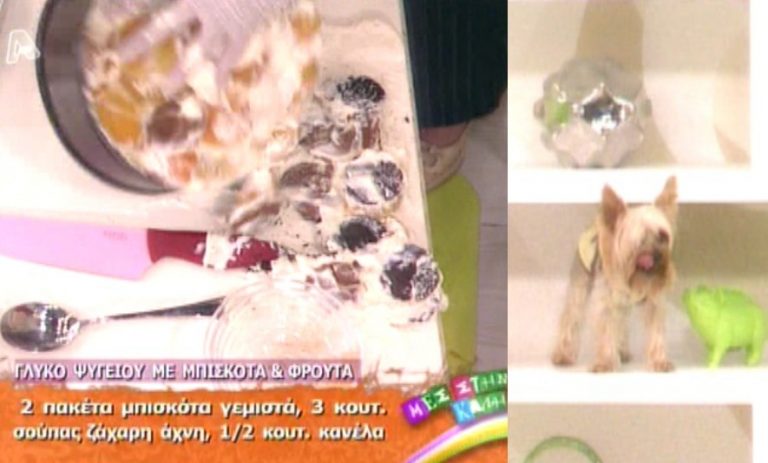 Τους έπεσε η τούρτα μόλις την ολοκλήρωσαν στον αέρα της εκπομπής! | Newsit.gr Τους έπεσε η τούρτα μόλις την ολοκλήρωσαν στον αέρα της εκπομπής! | Newsit.gr