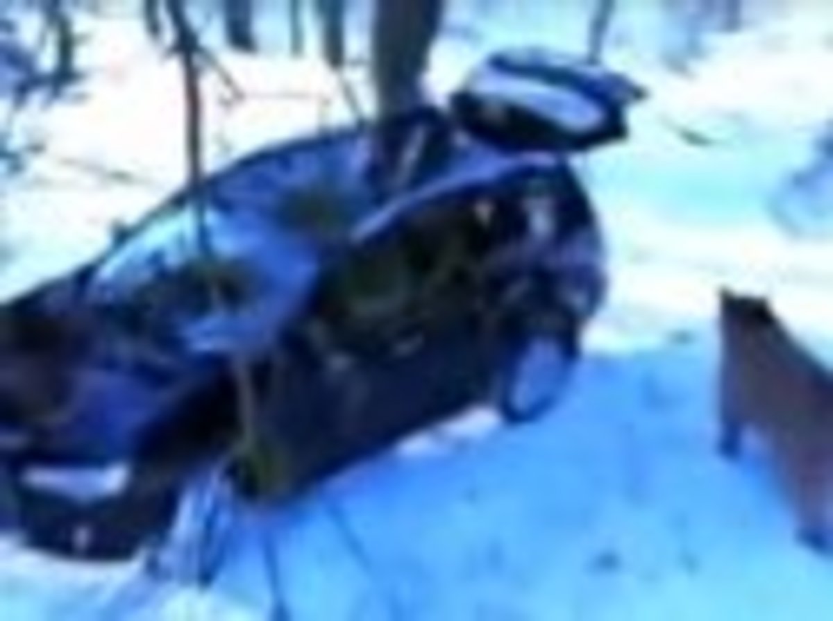 Απίστευτο video – Αρκούδα κλέβει τζιπ | Newsit.gr Απίστευτο video – Αρκούδα κλέβει τζιπ | Newsit.gr