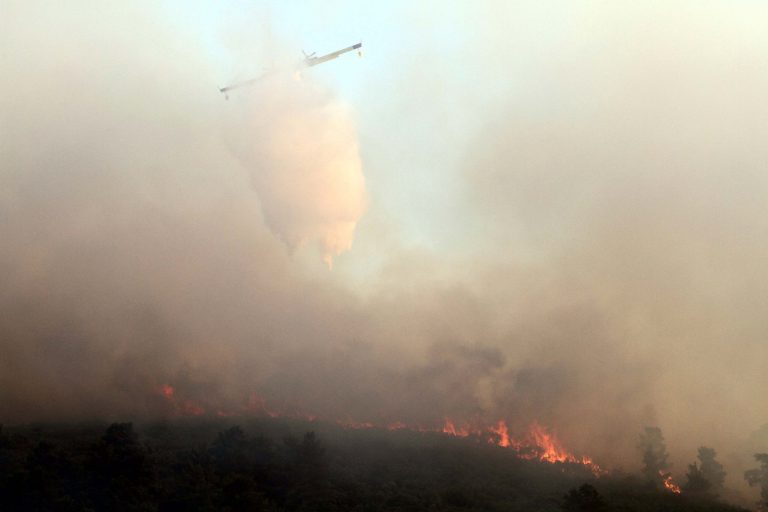 Γρεβενά: Υπό έλεγχο η φωτιά σε δασική έκταση | Newsit.gr Γρεβενά: Υπό έλεγχο η φωτιά σε δασική έκταση | Newsit.gr
