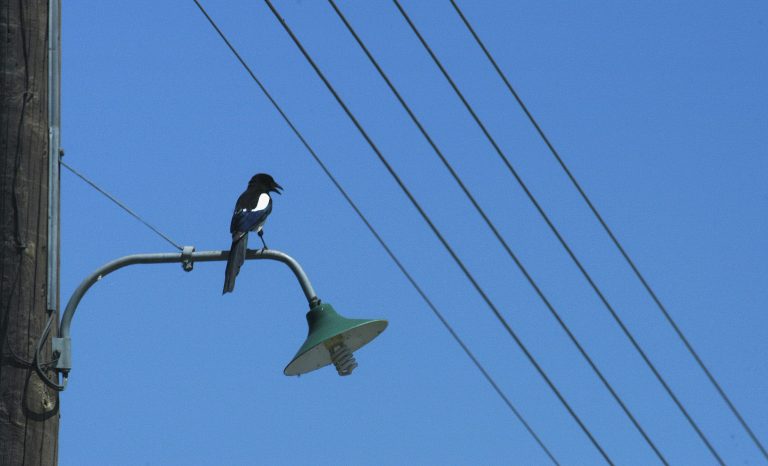 Χαλκίδα: Εξερράγη το λάστιχο και τον διαμέλισε! | Newsit.gr Χαλκίδα: Εξερράγη το λάστιχο και τον διαμέλισε! | Newsit.gr