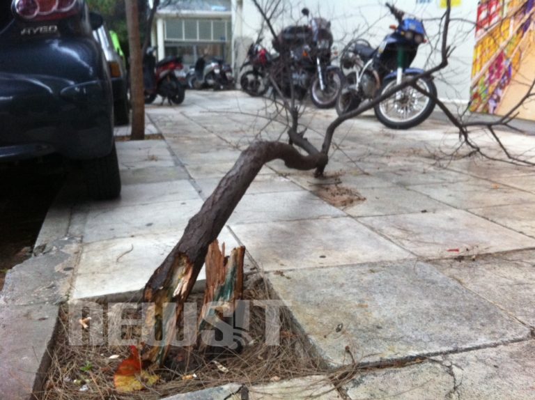 Τρέχει η Πυροσβεστική σε όλη την Αθήνα – Ξεριζωμένα δέντρα και πεσμένες πινακίδες | Newsit.gr Τρέχει η Πυροσβεστική σε όλη την Αθήνα – Ξεριζωμένα δέντρα και πεσμένες πινακίδες | Newsit.gr
