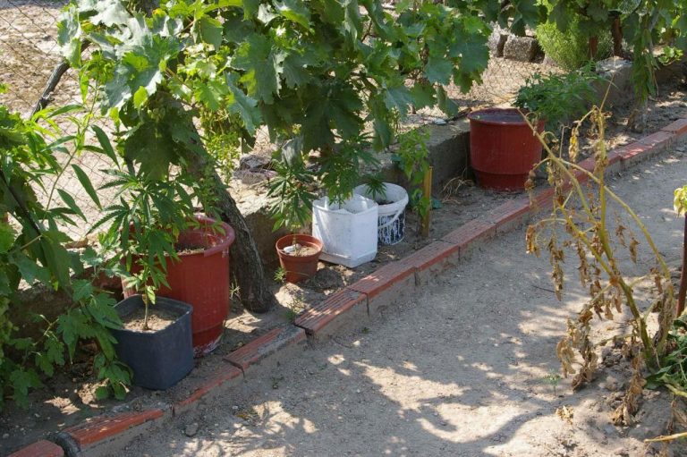 Ορεστιάδα: Χτύπησε αστυνομικό στο κεφάλι για να μην τον συλλάβουν για ναρκωτικά! | Newsit.gr Ορεστιάδα: Χτύπησε αστυνομικό στο κεφάλι για να μην τον συλλάβουν για ναρκωτικά! | Newsit.gr