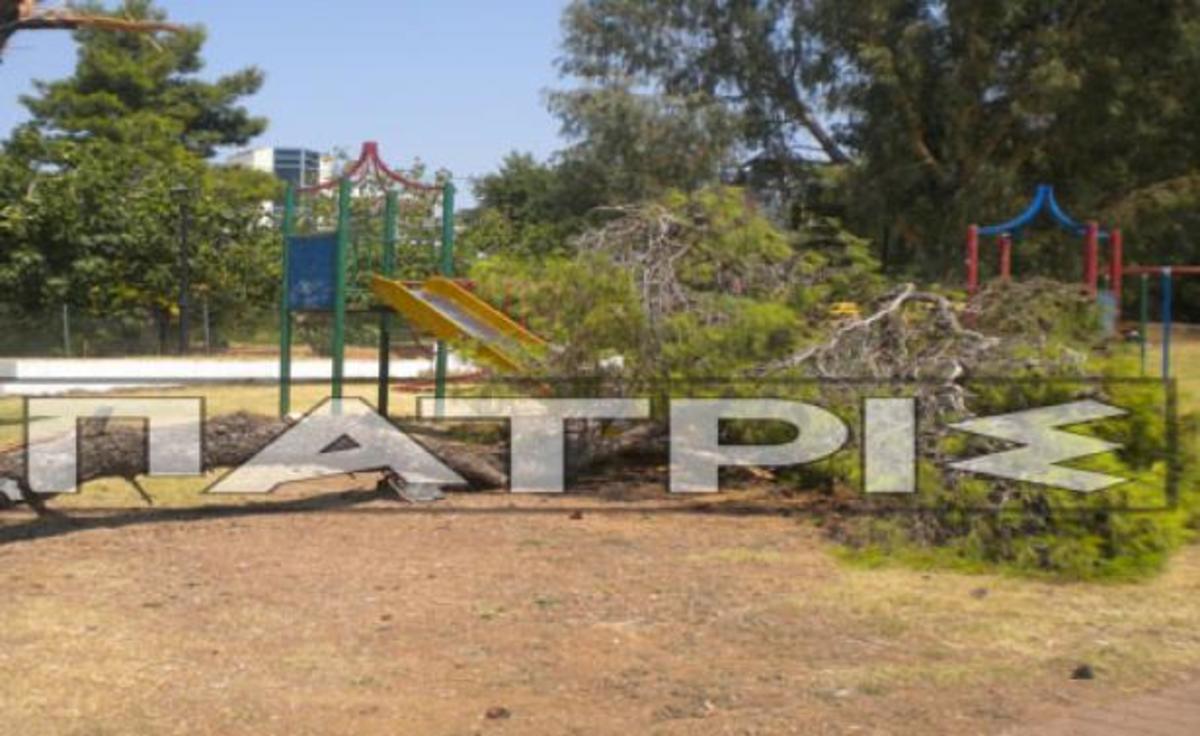 Ηλεία: Δέντρο καταπλάκωσε τσουλίθρα σε παιδική χαρά! | Newsit.gr Ηλεία: Δέντρο καταπλάκωσε τσουλίθρα σε παιδική χαρά! | Newsit.gr