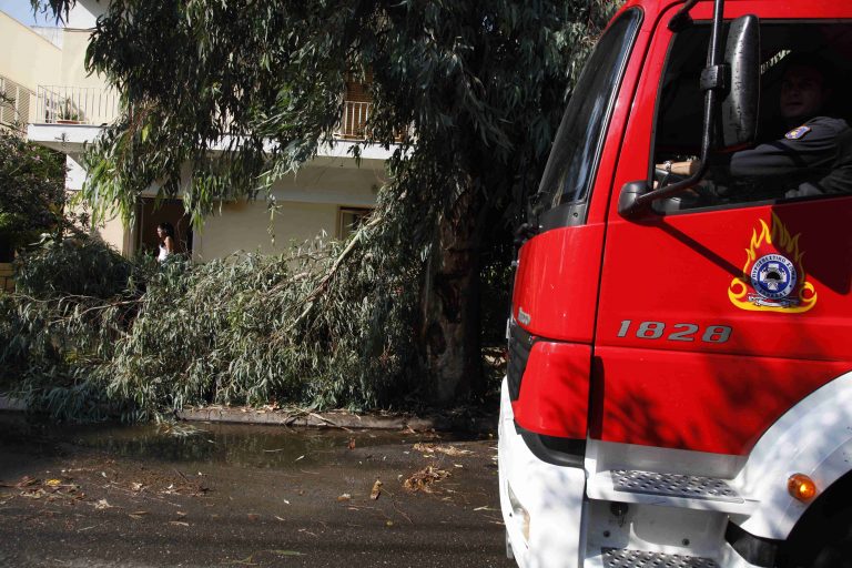 Οι άνεμοι σάρωσαν την Αττική – Δέντρο καταπλάκωσε μία κοπέλα | Newsit.gr Οι άνεμοι σάρωσαν την Αττική – Δέντρο καταπλάκωσε μία κοπέλα | Newsit.gr