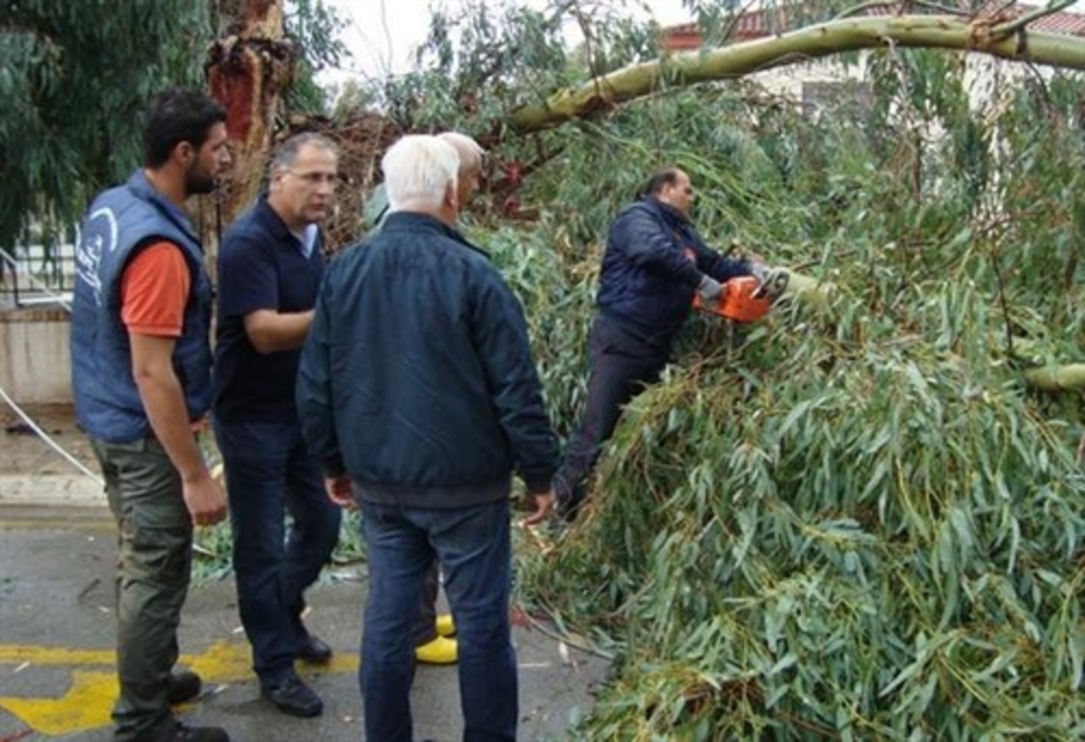 Εύβοια:Έπεσε δέντρο δίπλα από δημοτικό σχολείο – Δείτε φωτογραφίες! | Newsit.gr Εύβοια:Έπεσε δέντρο δίπλα από δημοτικό σχολείο – Δείτε φωτογραφίες! | Newsit.gr