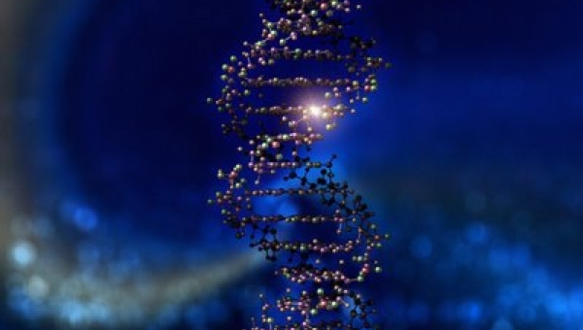 Το DNA ίσως είναι η λύση για την καταπολέμηση ανίατων ασθενειών | Newsit.gr Το DNA ίσως είναι η λύση για την καταπολέμηση ανίατων ασθενειών | Newsit.gr