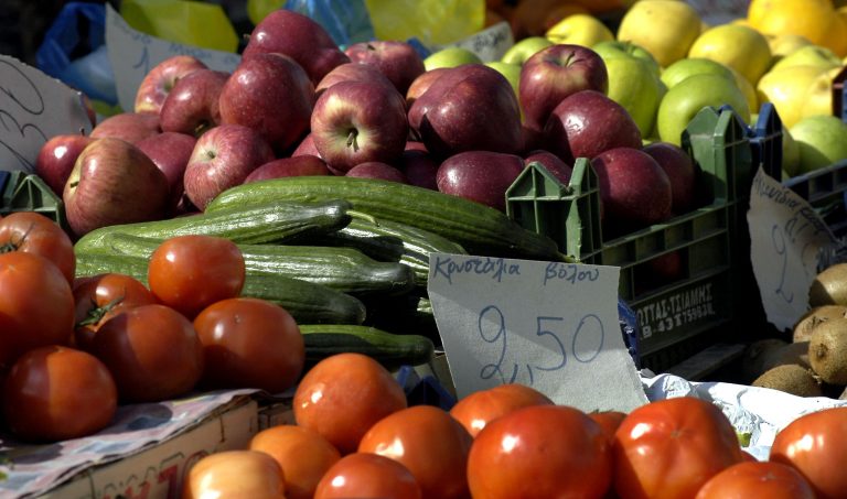 Μολυσμένα νερά σε περιοχές που κατέληγαν οπωροκηπευτικά | Newsit.gr Μολυσμένα νερά σε περιοχές που κατέληγαν οπωροκηπευτικά | Newsit.gr