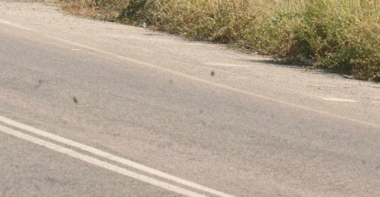 Ηλεία: Ξάπλωσε στην εθνική οδό για να αυτοκτονήσει! | Newsit.gr Ηλεία: Ξάπλωσε στην εθνική οδό για να αυτοκτονήσει! | Newsit.gr