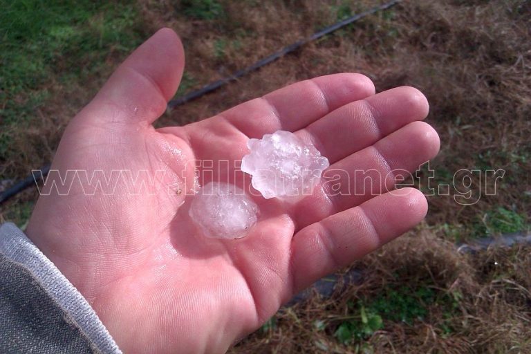 Μεσσηνία: Μεγάλες καταστροφές στις καλλιέργειες από το χαλάζι – ΦΩΤΟ & ΒΙΝΤΕΟ | Newsit.gr Μεσσηνία: Μεγάλες καταστροφές στις καλλιέργειες από το χαλάζι – ΦΩΤΟ & ΒΙΝΤΕΟ | Newsit.gr