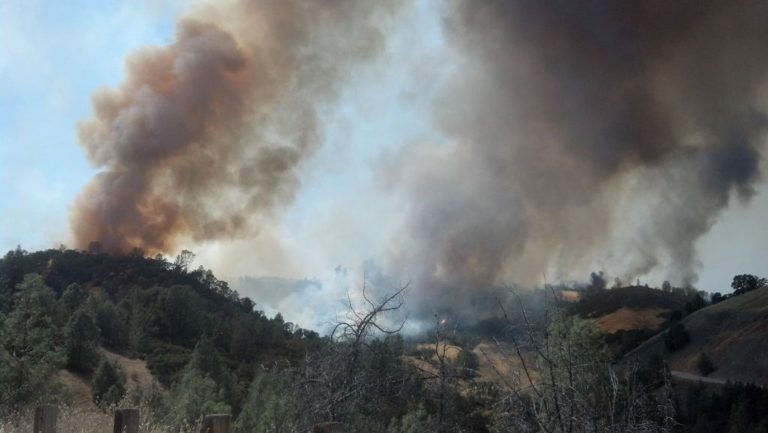 Τεράστια καταστροφή στην Αλγερία- Στάχτη 200.000 στρέμματα | Newsit.gr Τεράστια καταστροφή στην Αλγερία- Στάχτη 200.000 στρέμματα | Newsit.gr