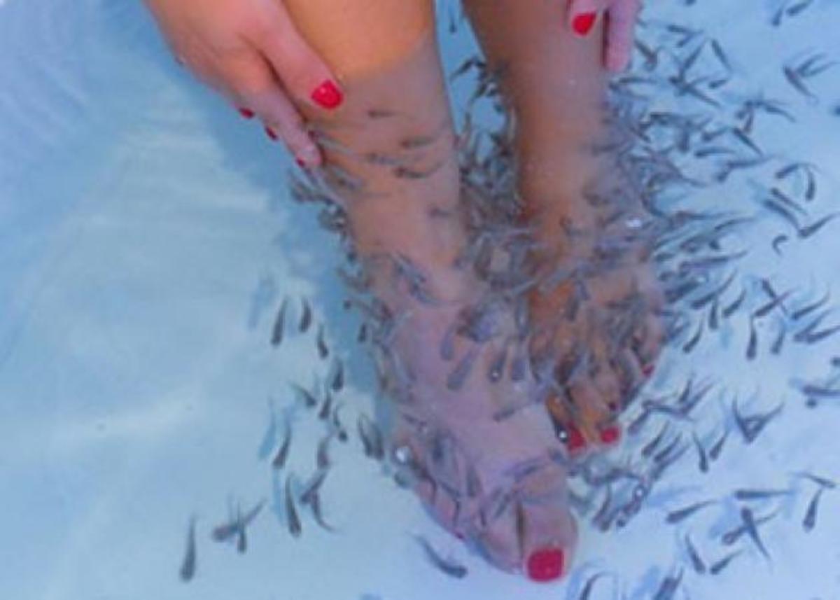 Ποια διάσημη ελληνίδα έκανε fish spa; | Newsit.gr Ποια διάσημη ελληνίδα έκανε fish spa; | Newsit.gr