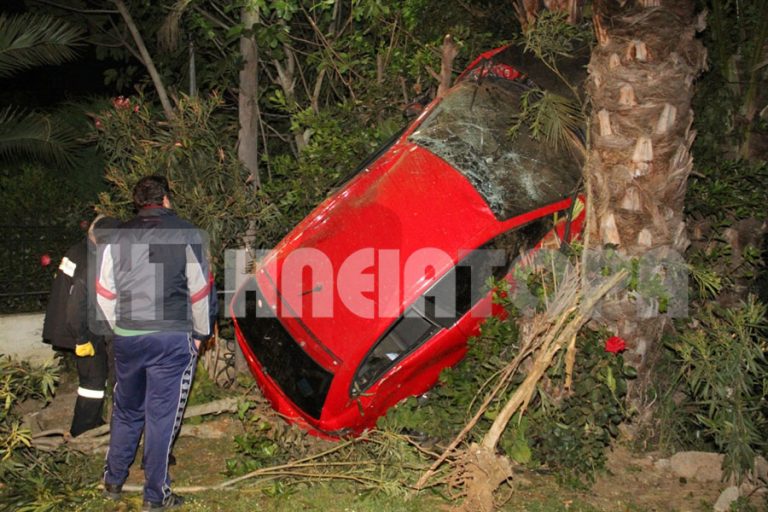 Ηλεία: Αυτοκίνητο… σκαρφάλωσε σε φοίνικα – Δείτε το βίντεο! | Newsit.gr Ηλεία: Αυτοκίνητο… σκαρφάλωσε σε φοίνικα – Δείτε το βίντεο! | Newsit.gr