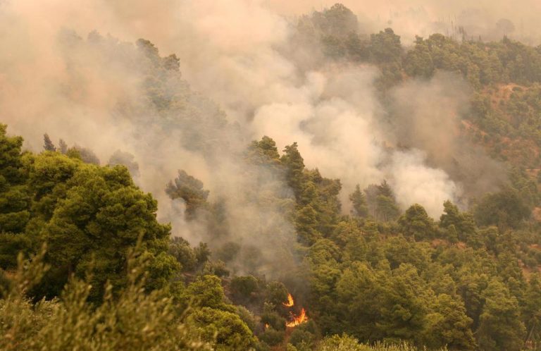 Ηλεία: Έσβησε η φωτιά στο δρυοδάσος της Φολόης | Newsit.gr Ηλεία: Έσβησε η φωτιά στο δρυοδάσος της Φολόης | Newsit.gr