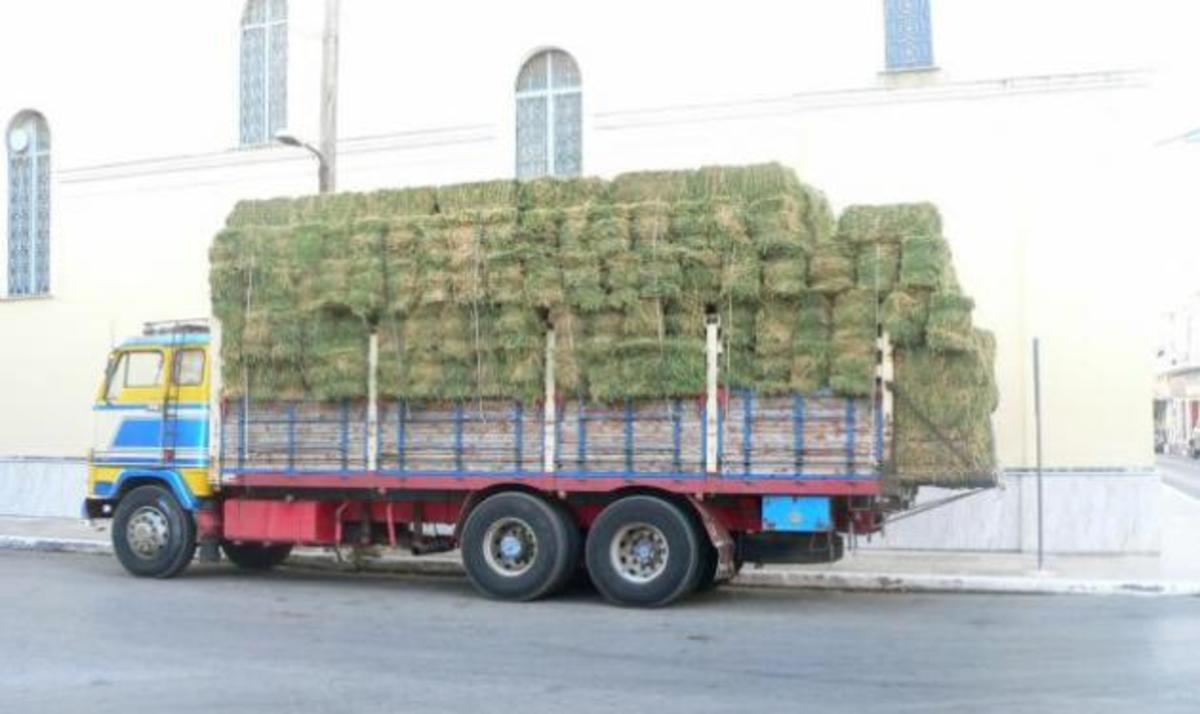 Συνελήφθη γνωστός ηθοποιός που εμπλέκεται σε υπόθεση με 246 κιλά χασίς | Newsit.gr Συνελήφθη γνωστός ηθοποιός που εμπλέκεται σε υπόθεση με 246 κιλά χασίς | Newsit.gr