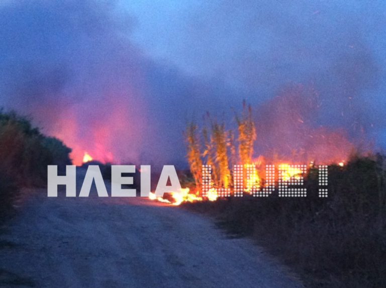 Ηλεία: Στις φλόγες ο Αλφειός – Τουλάχιστον τρία μέτωπα δίπλα στις όχθες | Newsit.gr Ηλεία: Στις φλόγες ο Αλφειός – Τουλάχιστον τρία μέτωπα δίπλα στις όχθες | Newsit.gr