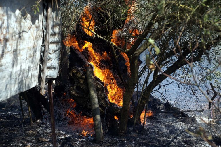 Φωτιές σε εξέλιξη σε Κρήτη και Αιτωλοακαρνανία | Newsit.gr Φωτιές σε εξέλιξη σε Κρήτη και Αιτωλοακαρνανία | Newsit.gr