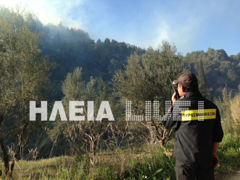 Μεγάλη φωτιά ξέσπασε στον Πύργο – ΦΩΤΟ & ΒΙΝΤΕΟ | Newsit.gr Μεγάλη φωτιά ξέσπασε στον Πύργο – ΦΩΤΟ & ΒΙΝΤΕΟ | Newsit.gr