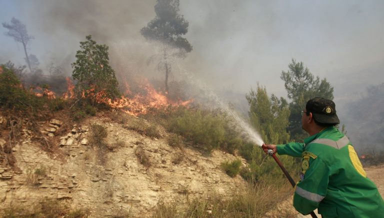 Φωτιά και στη Σκόπελο – Για τρίτη μέρα στις φλόγες η Κέρκυρα | Newsit.gr Φωτιά και στη Σκόπελο – Για τρίτη μέρα στις φλόγες η Κέρκυρα | Newsit.gr