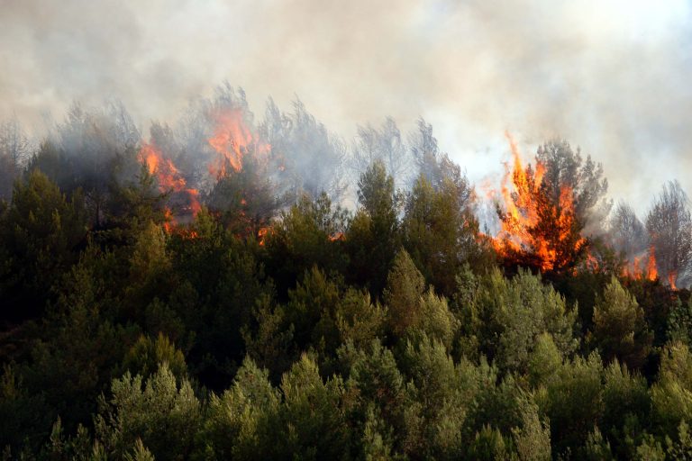 Υπό έλεγχο οι φωτιές σε Άρτα και Γιάννενα | Newsit.gr Υπό έλεγχο οι φωτιές σε Άρτα και Γιάννενα | Newsit.gr