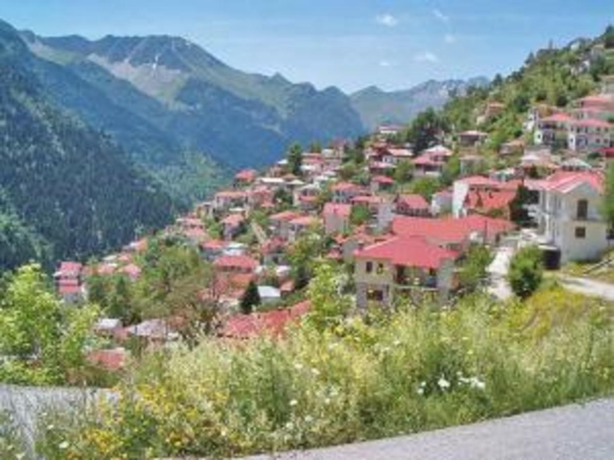 Τρίκαλα: Επιδρομή διαρρηκτών σε γραφικό χωριό με ένα κάτοικο! | Newsit.gr Τρίκαλα: Επιδρομή διαρρηκτών σε γραφικό χωριό με ένα κάτοικο! | Newsit.gr