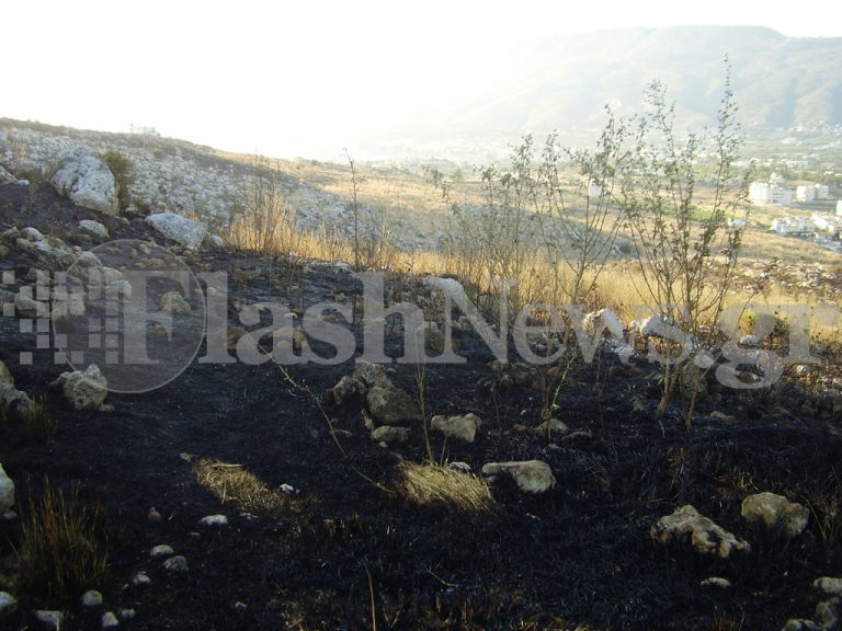 Χανιά: Εμπρησμός έκανε στάχτη 30 στρέμματα δασικής έκτασης! | Newsit.gr Χανιά: Εμπρησμός έκανε στάχτη 30 στρέμματα δασικής έκτασης! | Newsit.gr