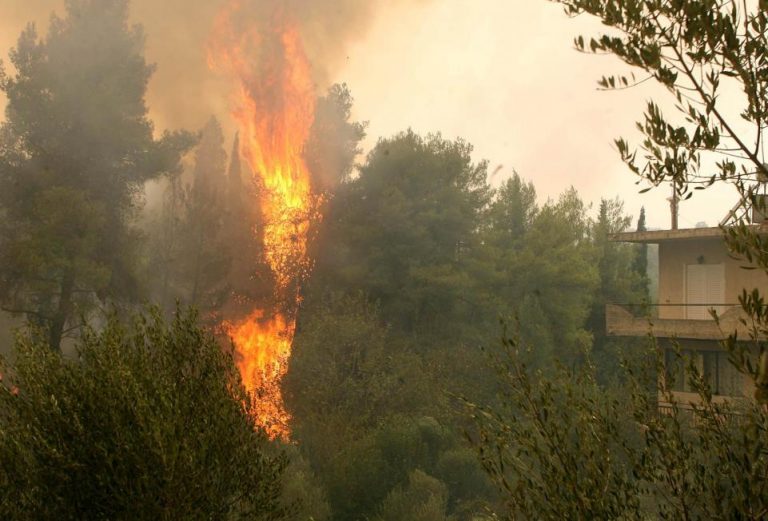 Ηλεία: 10 χρόνια με αναστολή στον πρώην νομάρχη για τις φονικές πυρκαγιές του 2007 – Δείτε τις ποινές του δικαστηρίου | Newsit.gr Ηλεία: 10 χρόνια με αναστολή στον πρώην νομάρχη για τις φονικές πυρκαγιές του 2007 – Δείτε τις ποινές του δικαστηρίου | Newsit.gr