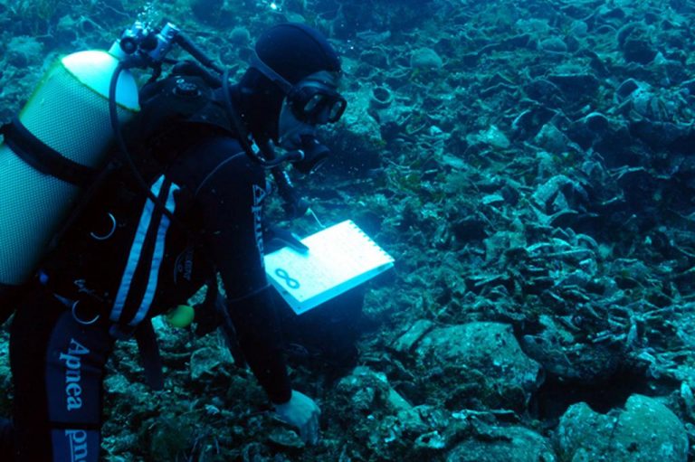 Χαλκιδική: Έκλεψαν έργα από την πρώτη υποβρύχια έκθεση φωτογραφίας | Newsit.gr Χαλκιδική: Έκλεψαν έργα από την πρώτη υποβρύχια έκθεση φωτογραφίας | Newsit.gr