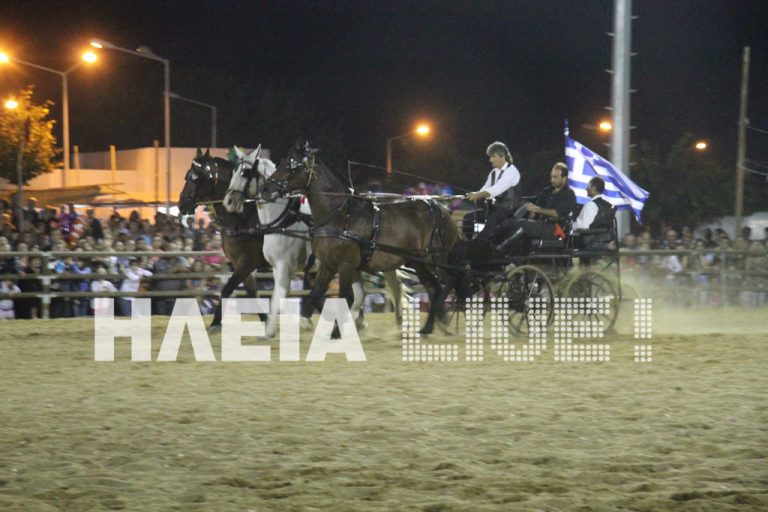 Ηλεία: H λάμψη των περήφανων αλόγων – Δείτε φωτογραφίες! | Newsit.gr Ηλεία: H λάμψη των περήφανων αλόγων – Δείτε φωτογραφίες! | Newsit.gr