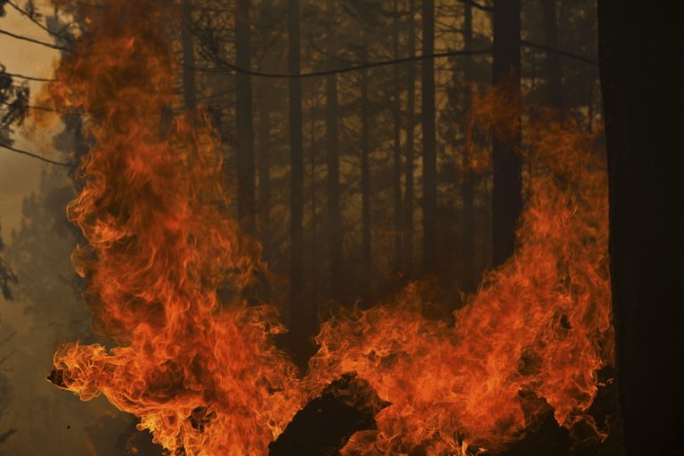 Στις φλόγες και η Ιταλία – Ένας νεκρός και τεράστιες καταστροφές | Newsit.gr Στις φλόγες και η Ιταλία – Ένας νεκρός και τεράστιες καταστροφές | Newsit.gr