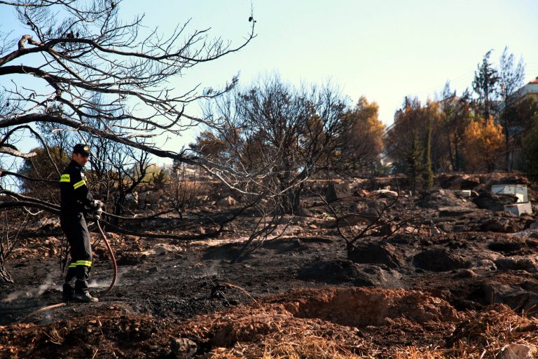 Στάχτη 100 στρέμματα στο Ρεθυμνο | Newsit.gr Στάχτη 100 στρέμματα στο Ρεθυμνο | Newsit.gr
