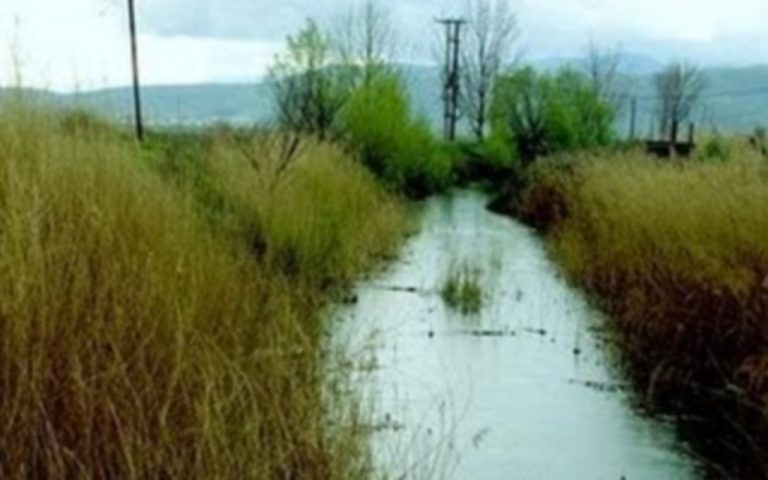 «Πάρε το όπλο σου και έλα να με σκοτώσεις γι’ αυτό που έκανα στην κόρη σου» | Newsit.gr «Πάρε το όπλο σου και έλα να με σκοτώσεις γι’ αυτό που έκανα στην κόρη σου» | Newsit.gr