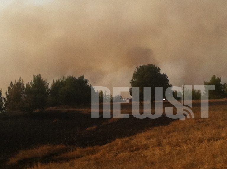 Σε ύφεση η φωτιά στο Καπανδρίτι | Newsit.gr Σε ύφεση η φωτιά στο Καπανδρίτι | Newsit.gr