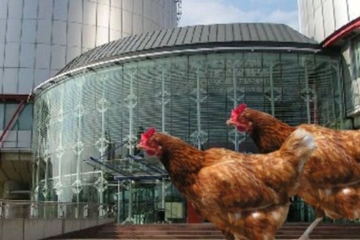 Οι Έλληνες θεωρούν πως η Ευρώπη »κοτεύει» | Newsit.gr Οι Έλληνες θεωρούν πως η Ευρώπη »κοτεύει» | Newsit.gr