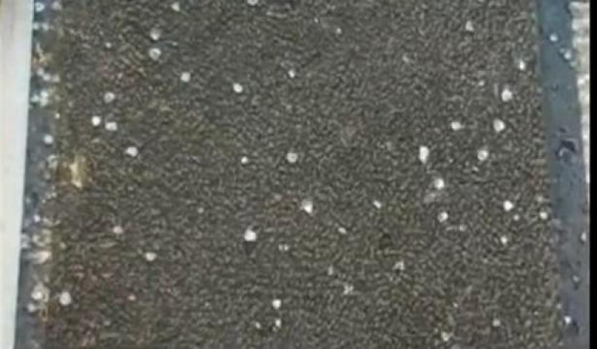 Δυτική Μακεδονία: Χαλαζόπτωση σε Κοζάνη και Καστοριά – 1,5 μέτρο το νερό στα υπόγεια | Newsit.gr Δυτική Μακεδονία: Χαλαζόπτωση σε Κοζάνη και Καστοριά – 1,5 μέτρο το νερό στα υπόγεια | Newsit.gr