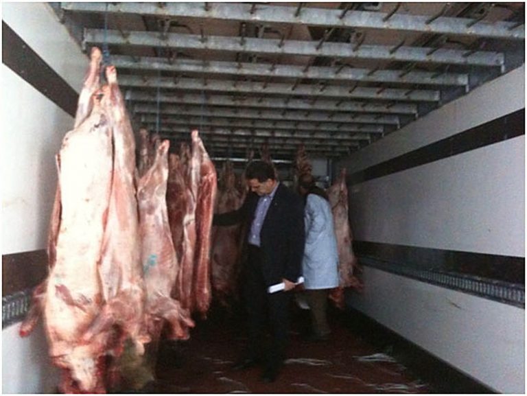 Ηράκλειο: Κατασχέθηκαν 70 κιλά ακατάλληλου κρέατος | Newsit.gr Ηράκλειο: Κατασχέθηκαν 70 κιλά ακατάλληλου κρέατος | Newsit.gr