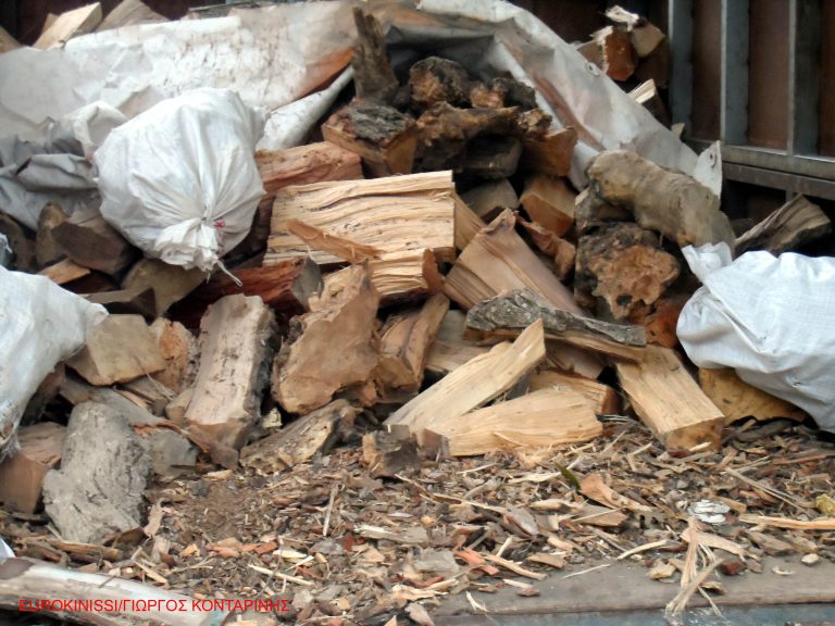 ΥΠΕΚΑ: Αυστηρότερες ποινές για τη λαθροϋλοτομία | Newsit.gr ΥΠΕΚΑ: Αυστηρότερες ποινές για τη λαθροϋλοτομία | Newsit.gr