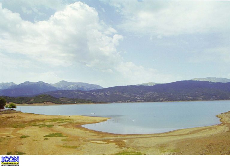 Δεκάδες νεκρά ψάρια ξεβράστηκαν στην λίμνη Κάρλα | Newsit.gr Δεκάδες νεκρά ψάρια ξεβράστηκαν στην λίμνη Κάρλα | Newsit.gr