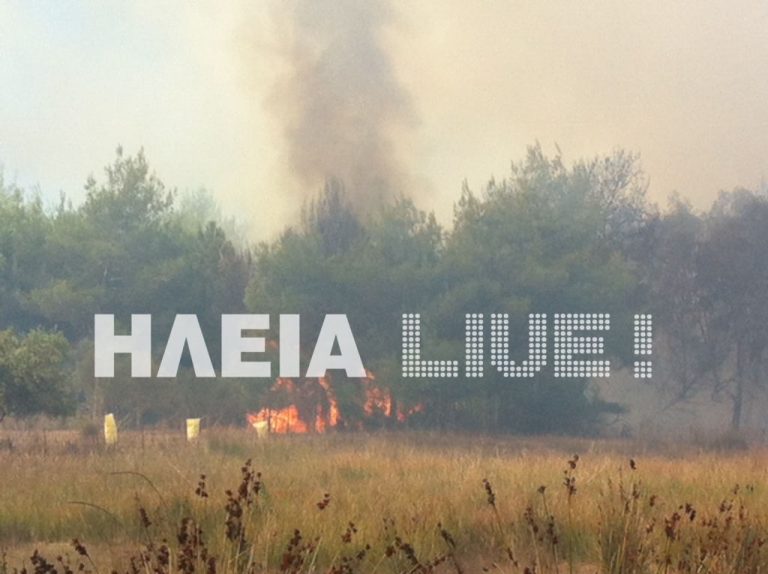 Ηλεία: Υπό μερικό έλεγχο η φωτιά στο δάσος της Σπιάτζας – ΦΩΤΟ | Newsit.gr Ηλεία: Υπό μερικό έλεγχο η φωτιά στο δάσος της Σπιάτζας – ΦΩΤΟ | Newsit.gr