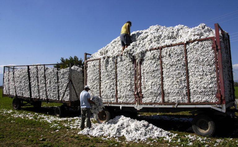 Λαμία: Αγρότες μαϊμου έπαιρναν επιδοτήσεις! | Newsit.gr Λαμία: Αγρότες μαϊμου έπαιρναν επιδοτήσεις! | Newsit.gr