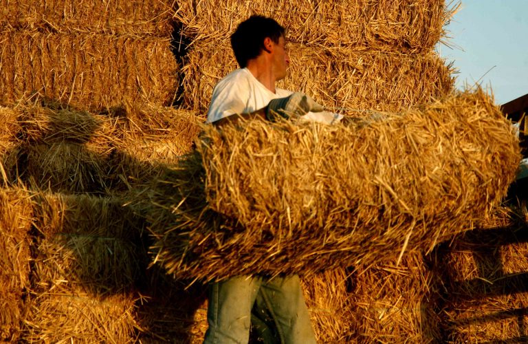 Σχεδόν οι μισοί αλλοδαποί εργαζόμενοι είναι ανασφάλιστοι | Newsit.gr Σχεδόν οι μισοί αλλοδαποί εργαζόμενοι είναι ανασφάλιστοι | Newsit.gr