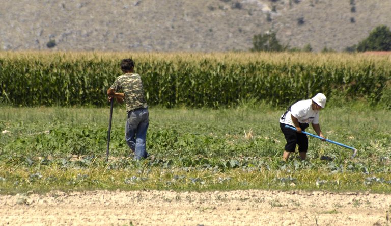 Φόβοι για νέο λιμό στην Β.Κορέα εξαιτίας του νέου νομίσματος | Newsit.gr Φόβοι για νέο λιμό στην Β.Κορέα εξαιτίας του νέου νομίσματος | Newsit.gr