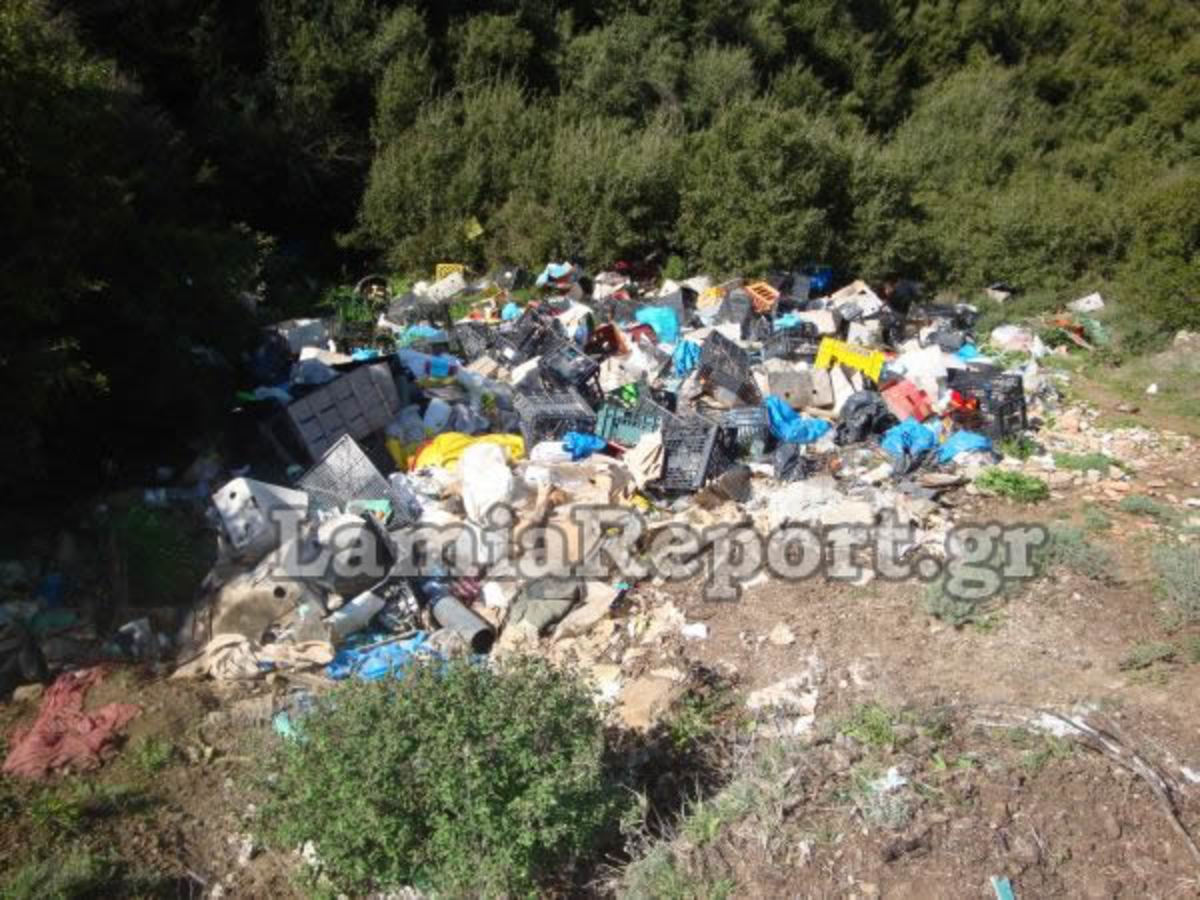 Λαμία: Πέταξαν οστά ζώων σε οικισμό – Δείτε τις φωτογραφίες | Newsit.gr Λαμία: Πέταξαν οστά ζώων σε οικισμό – Δείτε τις φωτογραφίες | Newsit.gr