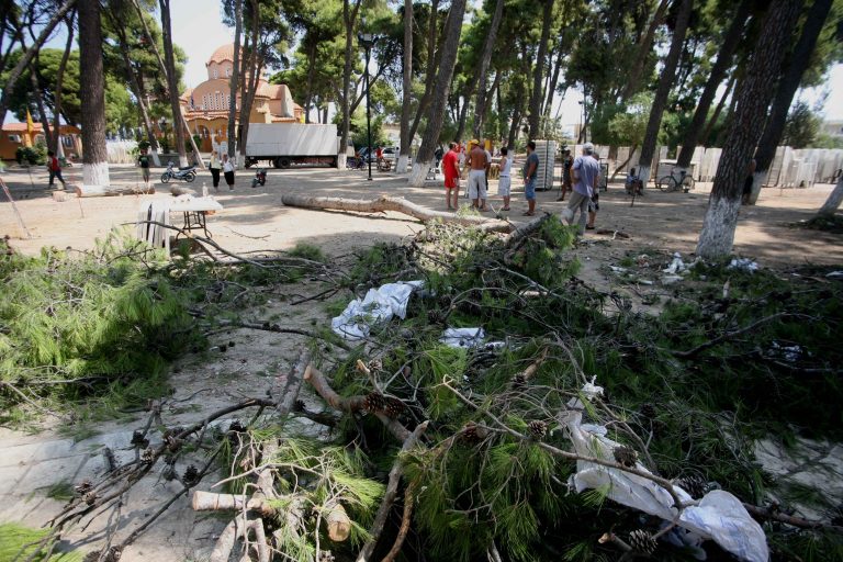 Εύβοια: Εποχικός πυροσβέστης καταπλακώθηκε από πεύκο! | Newsit.gr Εύβοια: Εποχικός πυροσβέστης καταπλακώθηκε από πεύκο! | Newsit.gr