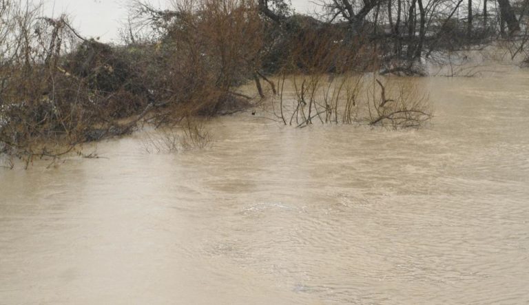 Τα νερά του Στρυμόνα έπνιξαν τις καλλιέργειες | Newsit.gr Τα νερά του Στρυμόνα έπνιξαν τις καλλιέργειες | Newsit.gr