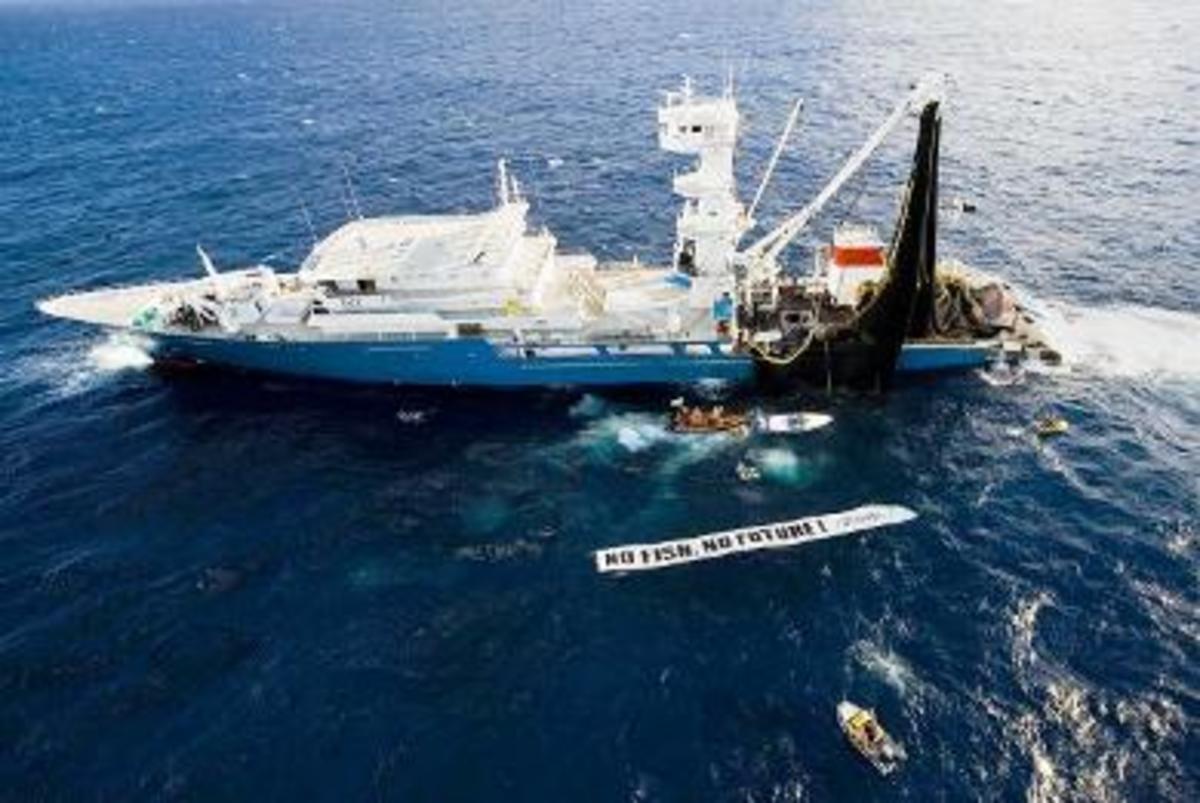 Γάλλος ψαράς επιτέθηκε με καμάκι… | Newsit.gr Γάλλος ψαράς επιτέθηκε με καμάκι… | Newsit.gr